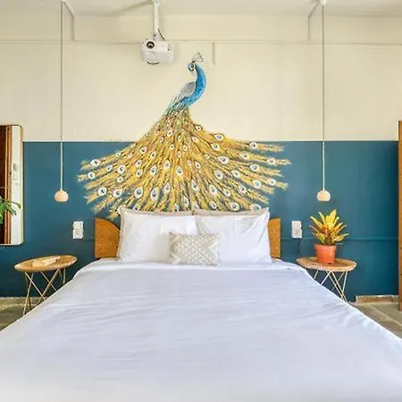 Hotel Village 3*